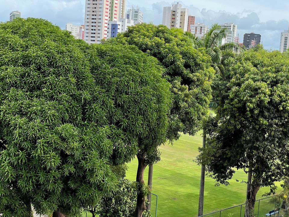 Captação de Apartamento a venda na Rua Luiz Rodolfo de Araújo, Aflitos, Recife, PE